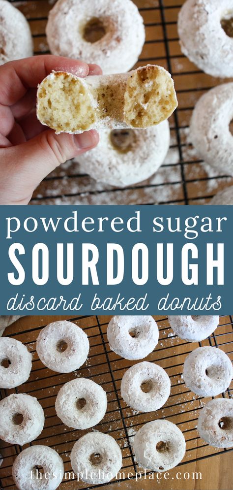 Easy Baked Sourdough Discard Powdered Sugar Donuts - The Simple Homeplace Sourdough Donut Recipe, Dough Starter Recipe, Recipe Using Sourdough Starter, Sourdough Bread Starter, Powdered Donuts, Sourdough Starter Discard Recipe, Homemade Sourdough Bread, Sourdough Starter Recipe, Sourdough Discard