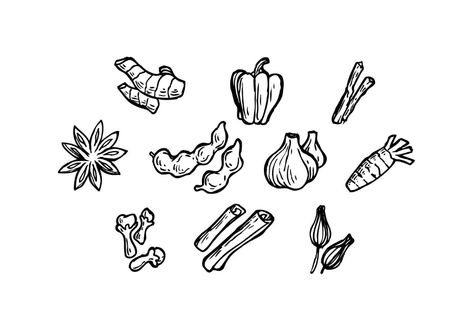 Herbal Spice Icon Vector Packaging Design, Vector Art, Art Images, Template Design, Vector Free, Doodles, For Free, Clip Art, Art