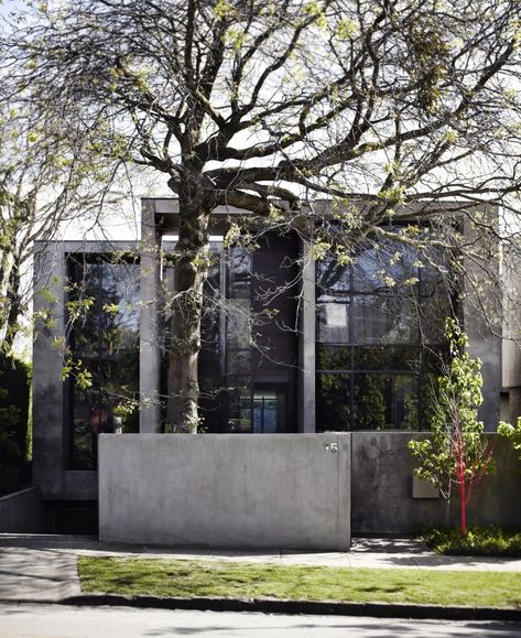 Malvern - Agushi Internal Courtyard Garden, Malvern House, Residential Exterior, Scandinavian Aesthetic, Internal Courtyard, Melbourne House, Amazing Home, Modern Scandinavian, Inner City