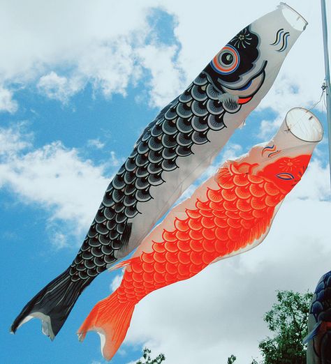 koinobori Koinobori Aesthetic, Kites Craft, Beautiful Places In Japan, Flying In The Sky, Japanese Fish, Carpe Koi, Japanese Koi, Koi Carp, Japan Aesthetic