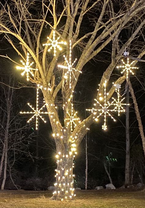 Pvc Christmas Arch, Christmas Lights Outdoor Trees, Exterior Christmas Decorations, Outdoor Christmas Light Displays, Icicle Lights Outdoor, Exterior Christmas Lights, Christmas Pathway Lights, Outdoor Christmas Decorations Lights, Outdoor Tree Lighting