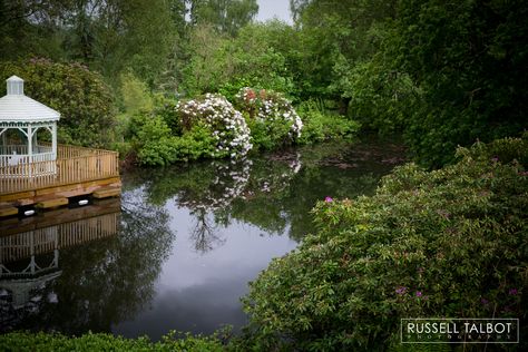 Wedding at Canonteign Falls Garden Bridge, Fall Wedding, Outdoor Structures, Weddings, Water, Autumn Wedding