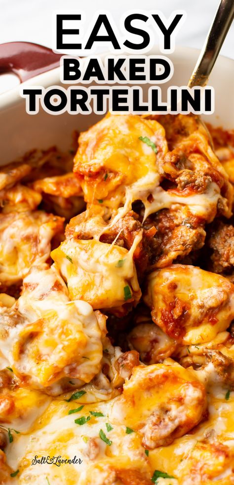 Meat Lovers Tortellini Casserole, Baked Tortellini With Sausage, Tortellini Meatball Recipes, Pasta Recipes Tortellini Easy Dinners, Bertolli Tortellini Recipes, Hamburger Meat Tortellini, Cheesy Meat Sauce Baked Tortellini, Baked Tortellini Casserole Ground Beef, Beefy Cheesy Tortellini Bake