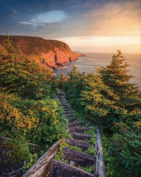 Summer sunrise view along Cobblers Path East Coast Trail Newfoundland. . . . . #eastcoasttrail #newfoundland #newfoundlandandlabrador #nfld #newfoundlandphotos #newfoundlandphotagrapher #newfoundlandphotography #explorecanada #explorenewfoundland #explorenl #canada #landscapephotos #landscape #landscapephotography Newfoundland Scenery, Newfoundland Canada, Summer Sunrise, Explore Canada, Newfoundland And Labrador, Instagram Summer, June 19, Newfoundland, Landscape Photos