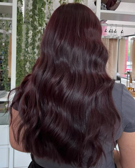 25 Cherry Cola Hair Color Ideas for 2025: Bold Brunettes, Dark Brown, and Burgundy Shades Black Cherry Balayage Brunettes, Liquid Brunette Hair, Mocha Cherry Hair Color, Cool Burgundy Hair Color, Purple Undertone Hair Brown, Chocolate Mahogany Hair Color, Cherry Chestnut Hair, Curly Cherry Cola Hair, Burgandy Brown Hair