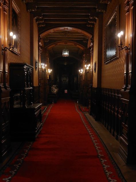 Dracula Castle Aesthetic, Haunted Hotel Aesthetic, Horror House Aesthetic, Vampire Castle Interior, Vampire Room, Vampire Mansion, Vintage Mansion, Vampire House, Red Hotel