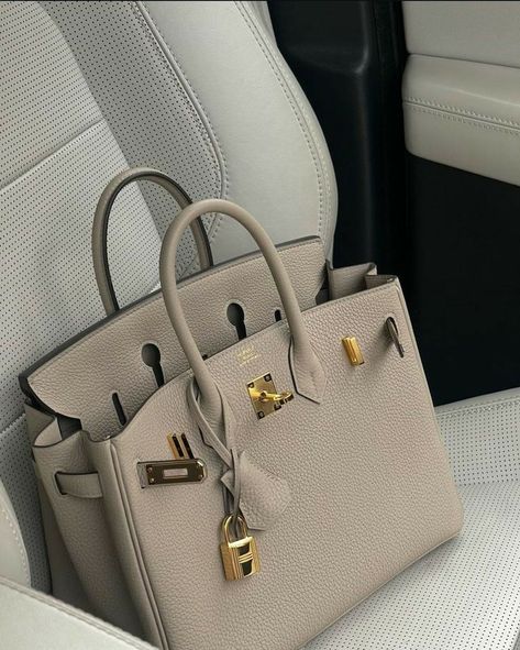 Birken Bag, My Style Bags, Luxury Bags Collection, Cartier Panthere, Girly Bags, Couture Handbags, Kelly Bag, Luxury Purses, Fancy Bags