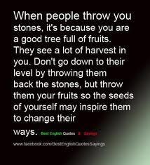 When people throw you stones, it/s because you are a good tree full of fruits. They see a lot of harvest in you. Don't go down to their level by throwing them back the stones, but throw them your fruits so the seeds of yourself may inspire them to change their ways. Insecure People Quotes, Fruit Quotes, Stone Quotes, Notable Quotes, Reading Quotes, All Quotes, Positive Self Affirmations, Real Life Quotes, Motivational Quotes For Life