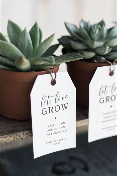 Plant Wedding Favors, Wedding Favor Tags Printable, Wedding Tokens, Creative Wedding Favors, Succulent Wedding Favors, Let Love Grow, نباتات منزلية, Wedding Favors And Gifts, Wedding Favors Cheap