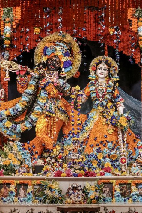 Radha Krishna Holi, Iskcon Krishna, Radhe Krishna Wallpapers, Shree Krishna Wallpapers, Krishna Book, Radha Krishna Love Quotes, Lord Krishna Hd Wallpaper, Radha Krishna Wallpaper, Lord Krishna Wallpapers