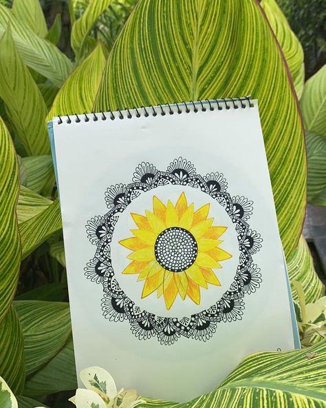 Most Beautiful, On Instagram, Instagram, Art, Mandalas