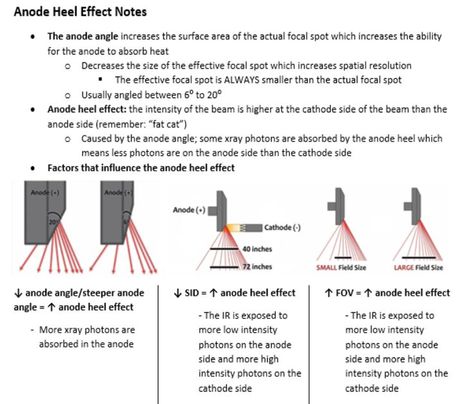 Notes taken watching the RTBC video "Anode Heel Effect (x-ray tube)." 2022 ARRT content specs mention knowing how the anode heel effect influences receptor exposure. Xray Tube Diagram, Arrt Registry Exam, Radiology Notes, Radiography Student, Skull Labeled, Rad Tech Student, Radiology Schools, Medical Radiography, X Ray Tube