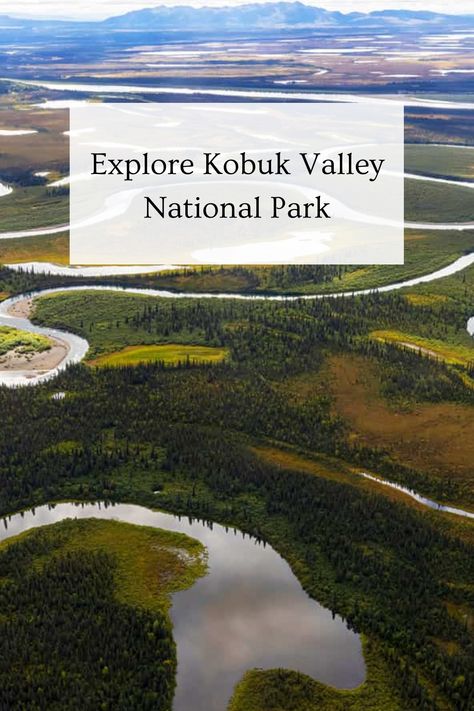 Discover the untamed beauty of nature at Kobuk Valley National Park. Immerse yourself in the vast wilderness and breathtaking landscapes. Unleash your inner explorer as you embrace the raw, untouched charm of this hidden gem. Experience serenity and awe as you venture into the heart of nature's wonders in Kobuk Valley National Park - a true sanctuary for those seeking adventure and tranquility amidst pristine surroundings, waiting to be explored. Kobuk Valley National Park, Alaska National Parks, Alaska Wildlife, National Park Photos, Heritage Center, By Plane, Alaska Travel, Us National Parks, Wild Nature