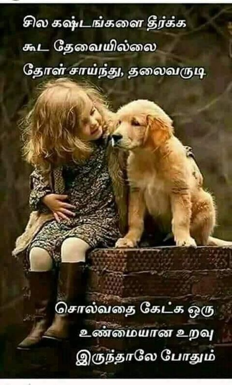 Dogs Quotes, Good Morning Wishes Gif, Quotes In Tamil, Tamil Love Quotes, Tamil Motivational Quotes, Dog Quotes Love, Friends Images, Reality Of Life Quotes, Good Morning Friends Images