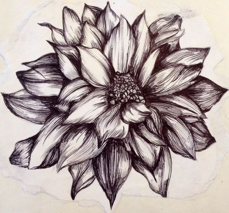 Flower illustration created with biro black pen Biro Drawing Sketches, Drawings With Pen, Drawing Depth, Biro Sketches, Pen Image, Flower Sketch Pencil, Biro Drawing, Quotes Creativity, Biro Art