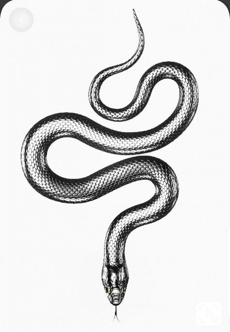 Angry Snake Tattoo, Kingsnake Tattoo, Snake Art Tattoo, Snake Drawing Tattoo, Chrome Tattoo Designs, Black Mamba Tattoo, Snake Black And White, Chrome Snake, Snake Sketch