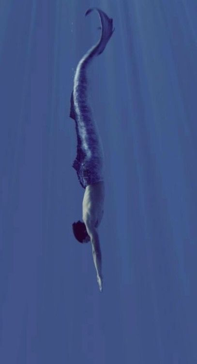 Mako Mermaids Aesthetic, Merman Aesthetic, Max Rigel, Realistic Mermaid Tails, Male Mermaid, Realistic Mermaid, Madara Wallpaper, Mermaid Photography, Mermaid Man