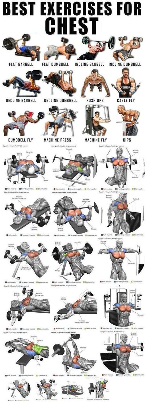 Exercises For Chest, Gym Chest Workout, Chest Workout For Men, Chest Workout Routine, Gym Workout Guide, Latihan Dada, Best Chest Workout, Gym Workout Planner, Gym Antrenmanları