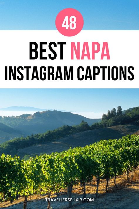 Best Napa Valley Instagram captions & quotes Napa Photo Ideas, Napa Picture Ideas, Vineyard Captions Instagram, Winery Quotes Instagram, Winery Captions, Vineyard Quotes, Winery Quotes, Valley Quotes, Instagram Captions Cute