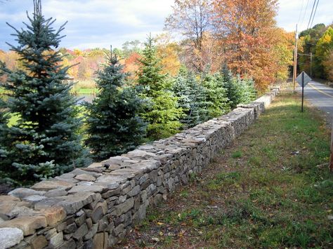 Dry laid stone wall Stone Perimeter Wall, Stone Walls Garden, Stone Wall Texture, Stone Stacking, Stone Buildings, Rock Walls, Garden Walls, Stone City, Masonry Work