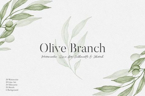 Watercolor Olive Branches Leaves by Creatchees.std on @creativemarket Sketch Background, Olive Branches, Line Art Vector, Olive Branch, 4 Seasons, Photoshop Design, Floral Illustrations, Photoshop Actions, Abstract Watercolor