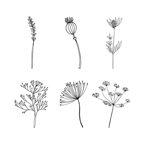 Herbs Drawing Simple, Herb Drawings Simple, Herbs Drawing, Wildflower Drawing, Botanical Line Drawing, Art Hacks, Bday Cards, Thread Painting, Needle Work