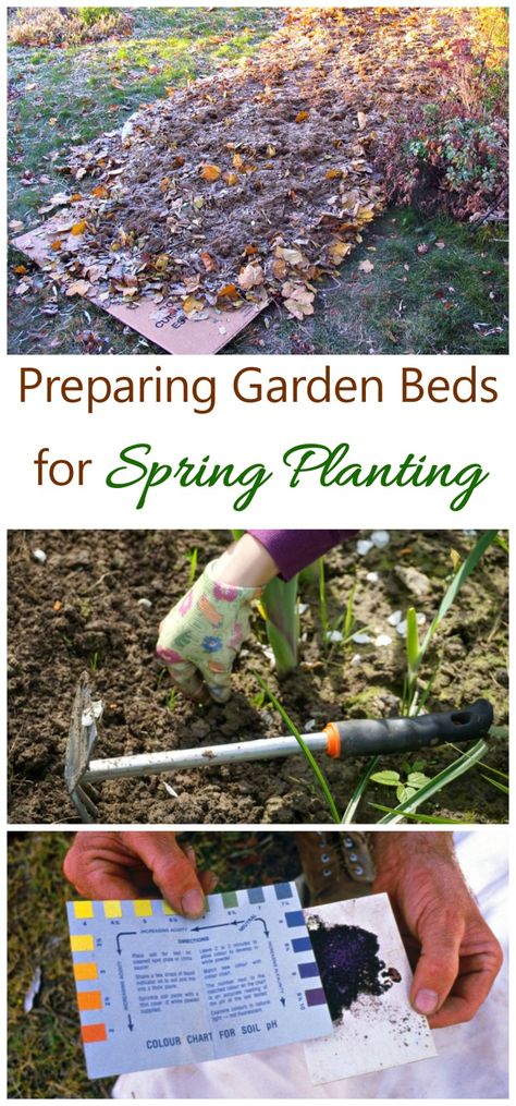 Spring Flower Beds, Lasagna Garden, Preparing Garden Beds, Leaf Mulch, Sheet Mulching, Lasagna Gardening, Potting Benches, Pulling Weeds, Spring Gardening