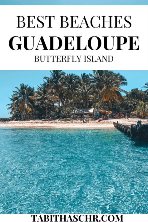 Guadalupe Caribbean, Guadalupe Island, French Caribbean, Tropical Travel Destinations, Germany Travel Guide, Tropical Travel, Sailing Trips, Its Beautiful, Tropical Destinations