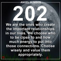 202 Meaning, 202 Angel Number, Manifestation Energy, Alpha Waves, Angel Number Meaning, Spiritual Awakening Signs, Numerology Numbers, Manifestation Miracle, Angel Number Meanings