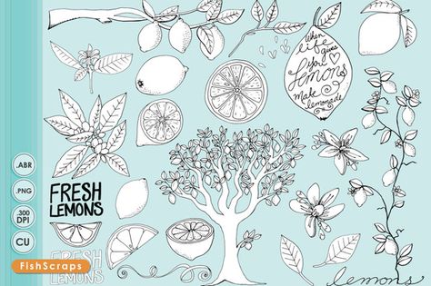 Lemon Line Art & PS Brushes by FishScraps on Creative Market Lemon Clipart, Doodling Ideas, Lemon Flower, Tree Outline, Family Tree Tattoo, Fruit Tree, Trendy Flowers, Tree Illustration, Outline Art