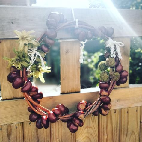 Conker Wreath Diy, Conkers Craft Christmas, Conkers Wreath, Conker Decorations, Chestnut Garland, Conker Craft Ideas, Conker Ideas, Conker Activities, Conker Wreath