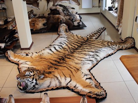 Faux Tiger Rug, Tiger Pelt Rug, Tiger Taxidermy, Tiger Carpet, Tiger Rugs, Anthropologie Tiger Rug, Animal Skin Rug, Tiger Rug, Skin Rugs