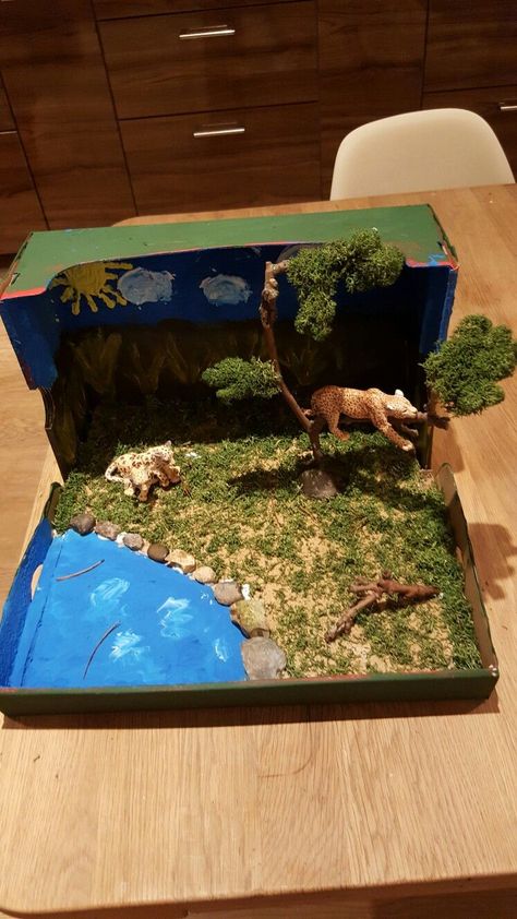 Desert Biome Box Shoe Box Diorama, Biomes Project, Rainforest Project, Tiger Habitat, Diorama Kids, Bear Habitat, Grassland Habitat, Desert Biome, Habitats Projects