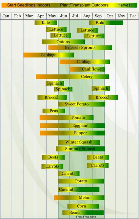 Your garden's success is, in large part, based on planting suitable crops for your climate. Here, we'll focus on Zone 5 plantings. Some major US cities that fall in USDA Zone 5 are Chicago, Illinois, Cleveland, Ohio, Detroit, Michigan, Minneapolis,... Gardening Benefits, Vegetable Planting Calendar, Plantarea Legumelor, Seedlings Indoors, Indoor Vegetables, Planting Calendar, Indoor Vegetable Gardening, Survival Gardening, Have Inspiration