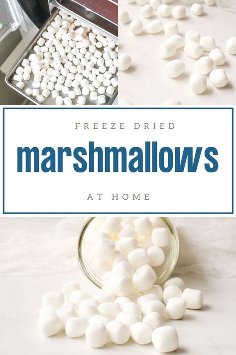 Freeze Dried Marshmallows, Dried Marshmallows, Dehydrated Marshmallows, Freeze Dried Food Storage, Harvest Right Freeze Dryer, Best Freeze Dried Food, Freeze Dryer, Chocolate Sticks, Food Dehydrator