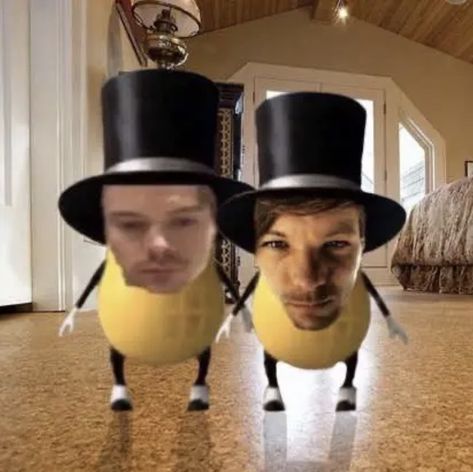 Cursed Harry Styles Pictures, One Direction Cursed Pictures, Four One Direction, Harry Styles Memes, Harry Styles Funny, Irish Boys, One Direction Humor, One Direction Memes, Louis And Harry