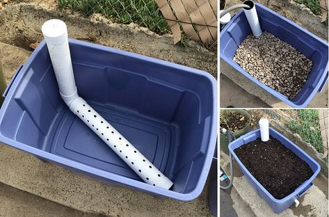 Wicking Garden Bed, Gemüseanbau In Kübeln, Self Watering Containers, Self Watering Plants, نباتات منزلية, Self Watering Pots, Have Inspiration, Container Gardening Vegetables, Self Watering Planter