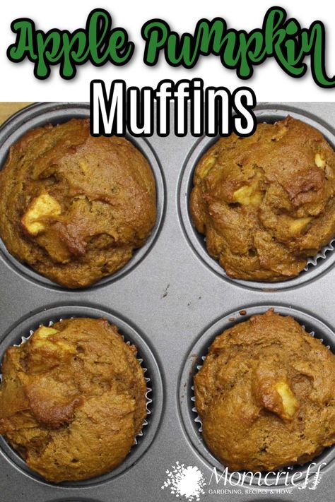 Pumpkin and apple are two traditional fall flavors. These muffins put them both together and then we add a little pumpkin spice. What better way to celebrate the season than with a batch of delicious pumpkin apple muffins? These muffins are moist, fluffy, and packed with flavor. This is a homemade recipe that is easy to make with simple ingredients. Apple Pumpkin Muffins, Pumpkin Blueberry Muffins, Pumpkin Mini Muffins, Pumpkin Apple Muffins, Mini Pumpkin Muffins, Pumpkin Pie Spice Recipe, Pie Spice Recipe, Baked Desserts, Apple Pumpkin