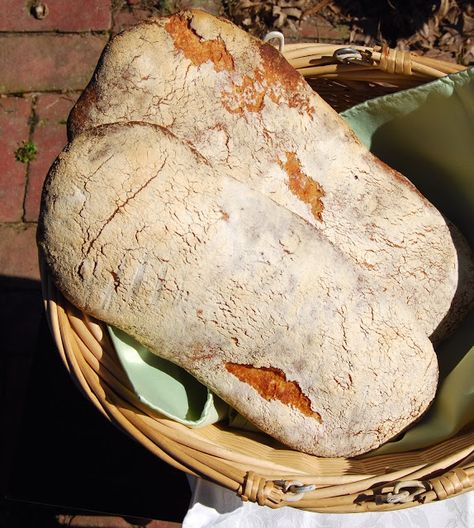 sourdough ciabatta Bread For Bruschetta, Sourdough Ciabatta, Whole Wheat Sourdough, Eggless Recipes, Sourdough Starter Recipe, Ciabatta Bread, Vital Wheat Gluten, Sour Dough, Pancake Batter