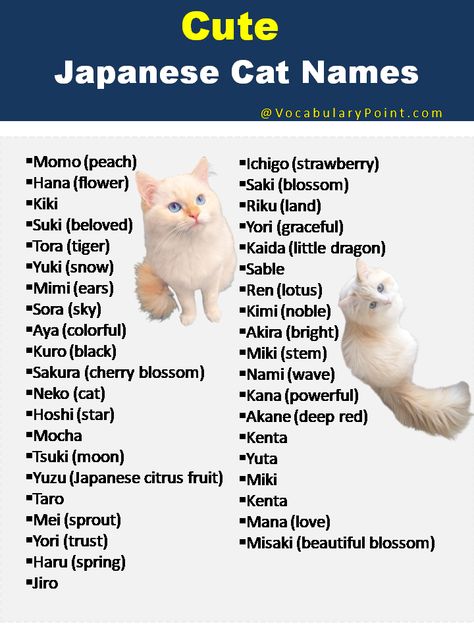 Name For Cats List, Japanese Names For Pets, Cute Japanese Pet Names, Japanese Cat Names With Meaning, Japanese Names That Mean Moon, Name For Kittens, Cute Cat Names Aesthetic, Mainecoon Cat Names, Cat Username Ideas