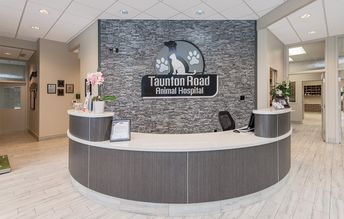 Taunton Road Hospital - Artistree Construction Vet Lobby Ideas, Vet Hospital Ideas Interior Design, Vet Hospital Ideas, Veterinary Reception Area, Vet Clinic Ideas, Vet Clinic Design, Veterinary Clinic Design, Animal Hospital Design, Veterinary Hospital Design