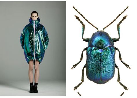 Insect Fashion Design, Bug Inspired Fashion, Insect Couture, Insect Dress, Bug Fashion, Dynasty Outfits, Nature Inspired Fashion, Run The Jewels, Runway Fashion Couture