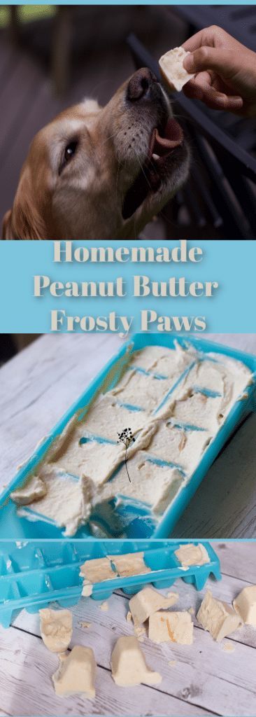 Homemade peanut butter frosty paws Recipe Homemade frozen dog treats are inexpensive dog treats. Frosty Paws Recipe, Diy Frosty, Dog Treats Homemade Peanut Butter, Homemade Frozen Dog Treats, Doggie Cookies, Frozen Dog Treats Homemade, Frosty Paws, Homemade Dog Cookies, Pet Snacks