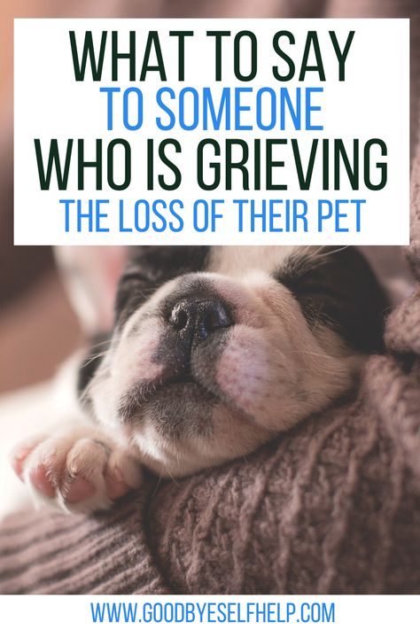 When You Lose A Pet Cat, Loss Of A Cat Card, Lost Of A Dog Quote, Sayings For Loss Of Pet, Dog Dies Sympathy Pet Loss, Sympathy For Dog Loss, When You Lose Your Dog, What To Say When A Pet Dies Dogs, Dog Loss Card