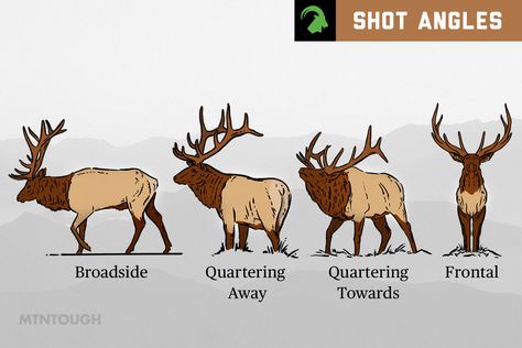 Master the art of elk hunting with this comprehensive guide on elk shot placement. Learn about vital organs, angles, and techniques for a humane kill. Archery Elk Hunting, Bow Hunting Tips, Game Hunting, Big Game Hunting, Hunting Tips, Elk Hunting, Bow Hunting, Deer Hunting, Big Game