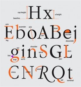 The Anatomy of a Character (typographically speaking) with a downloadable PDF.    This kind of makes me want to go into design, simply because I love letters Anatomy Of Typography, Type Anatomy, Poster Sport, Spatial Relationships, Alfabet Letters, 타이포그래피 포스터 디자인, Typeface Design, Poster Retro, Typography Letters