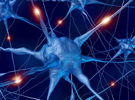 Neuron firing Deficiency Diseases, Brain Chemistry, Information Overload, Stem Cell Therapy, Cell Therapy, Regenerative Medicine, Brain Waves, Human Brain, Alzheimers