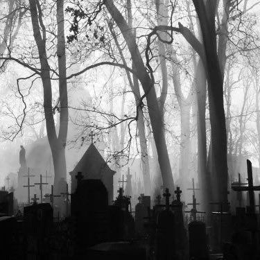 Old Cemetery, Arte Grunge, Old Cemeteries, Cemetery Art, Last Ride, Fall Inspiration, Gothic Aesthetic, Six Feet Under, Dark Photography