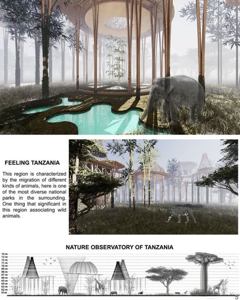 Designing safe interfaces between humans and nature Observatory Architecture, Animal Observatory, Urban Design Competition, Thats All Folks, Asian Elephant, Freedom Is, African Elephant, Visitor Center, Immersive Experience