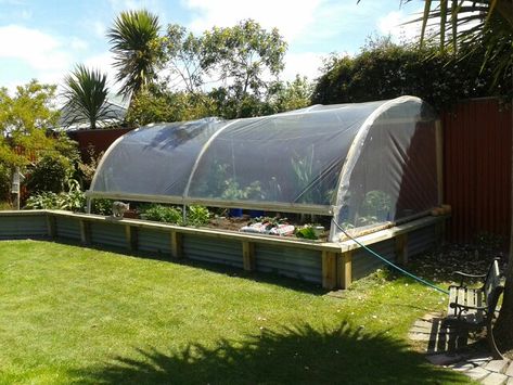 10 Ways to Re-purpose Your Old Trampoline. Stay at Home Mum.com.au Trampoline Greenhouse, Recycled Trampoline, Trampoline Ideas, Old Trampoline, Backyard Trampoline, Stay At Home Mum, Green Houses, Small Greenhouse, Garden Arbor